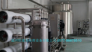 时产10吨 2级 反渗透十EDI纯化水设备（山东汉方公司）