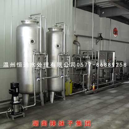 5吨食品饮料配制纯水设备