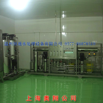 時產2噸醫療器械純化水設備（上海奧翔公司）