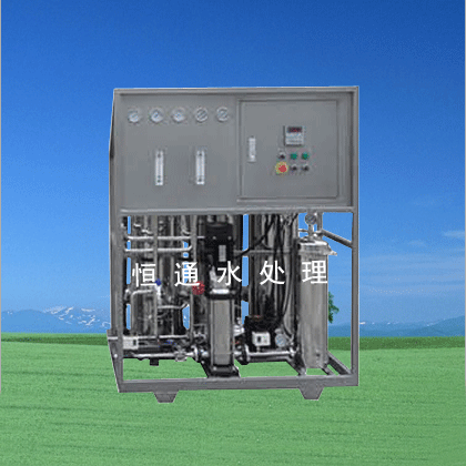 0.25m3 h纯水机